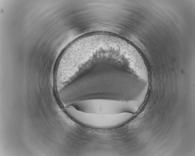 X0000088231028200706121851