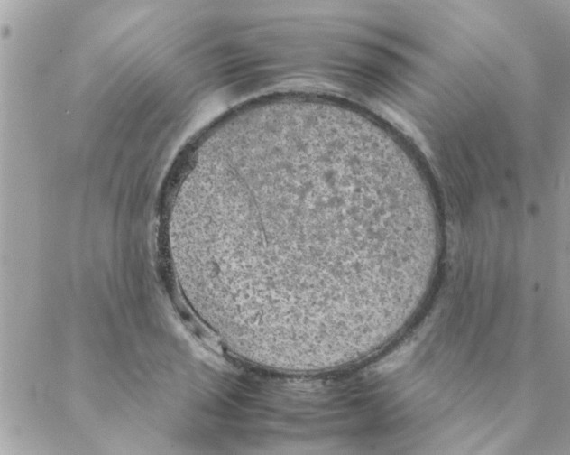 X0000088231029200706121851