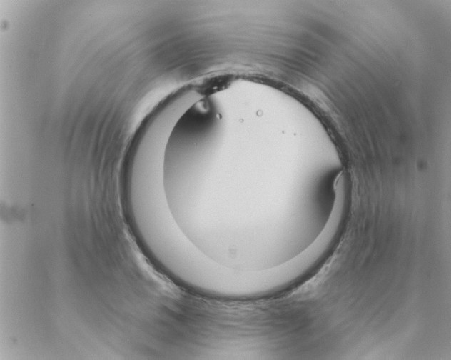 X0000088231030200706121851