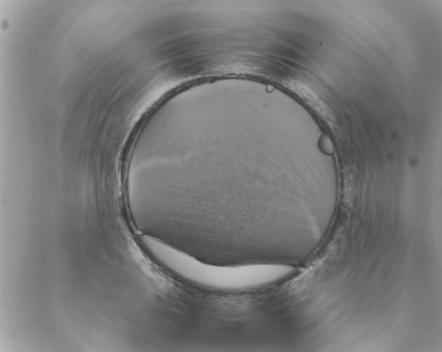 X0000088231031200706121851