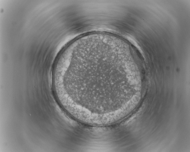 X0000088231032200706121851