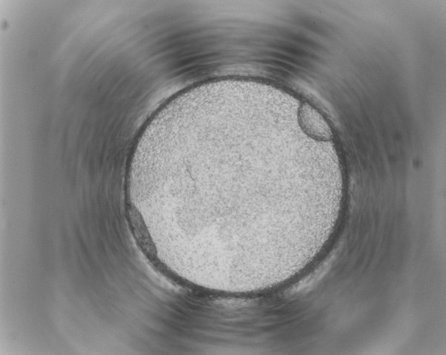 X0000088231033200706121851