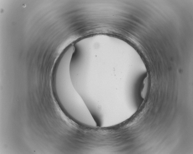 X0000088231034200706121851