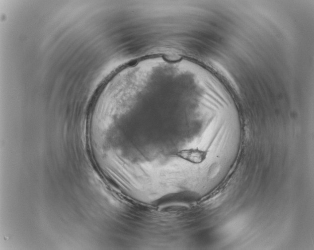 X0000088231035200706121851