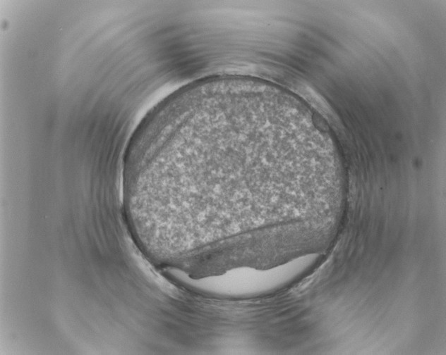 X0000088231036200706121851