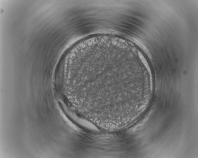 X0000088231037200706121851