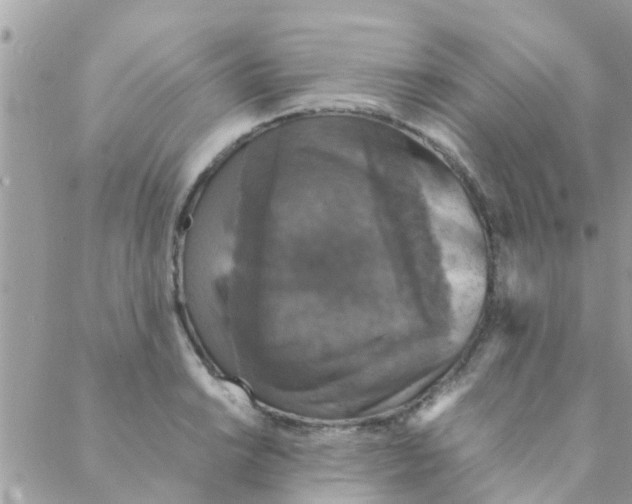 X0000088231038200706121851