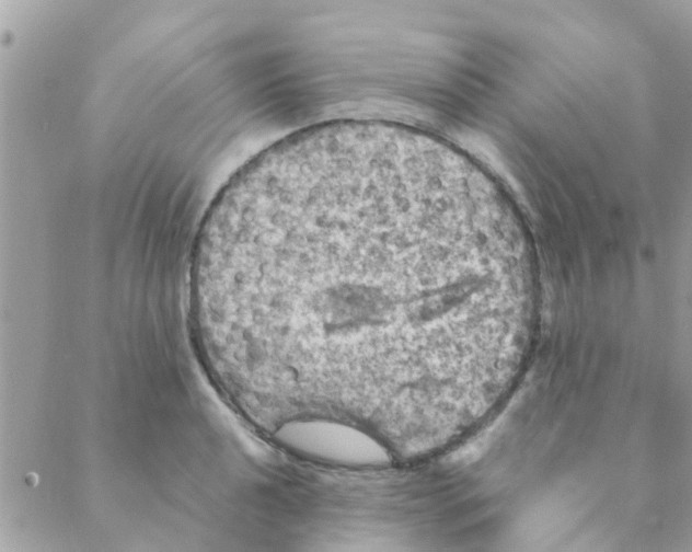 X0000088231040200706121851