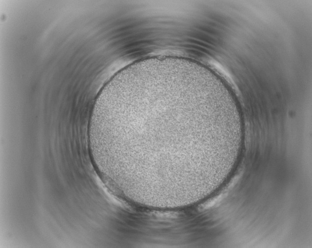 X0000088231041200706121851