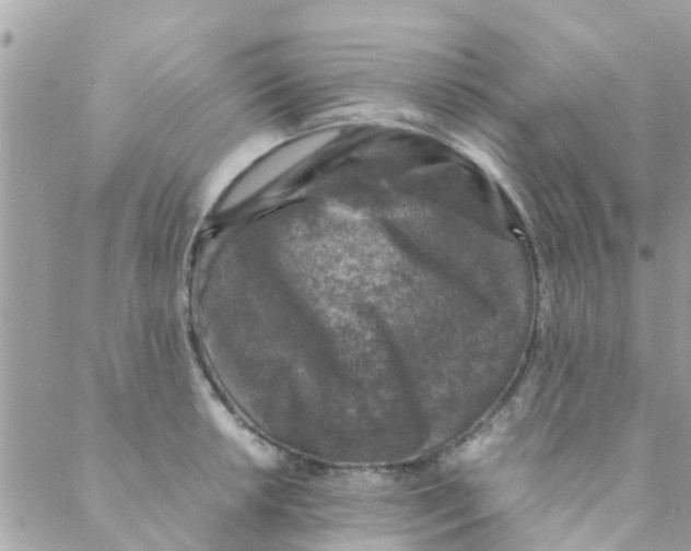 X0000088231042200706121851