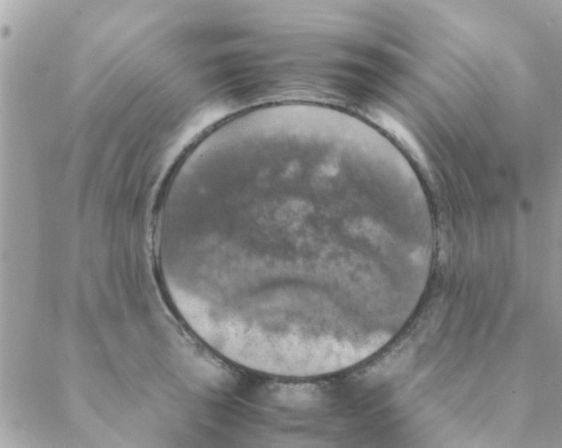 X0000088231043200706121851