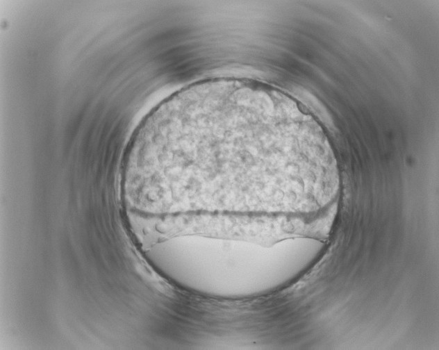 X0000088231044200706121851