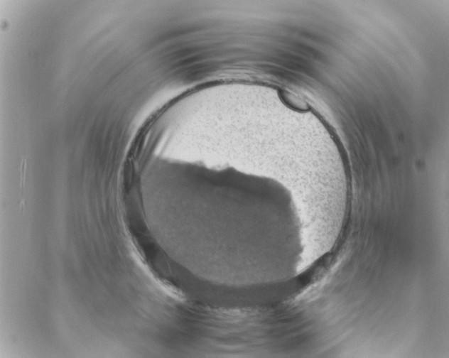 X0000088231045200706121851