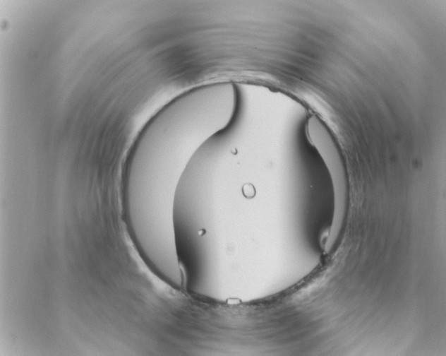 X0000088231046200706121851