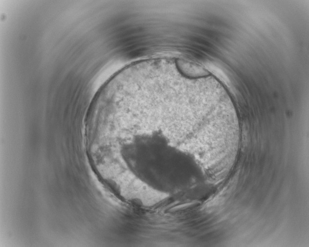 X0000088231047200706121851