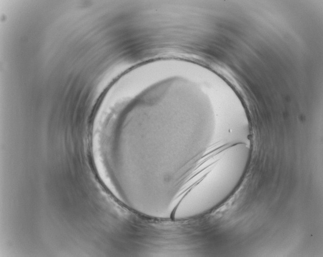 X0000088231048200706121851