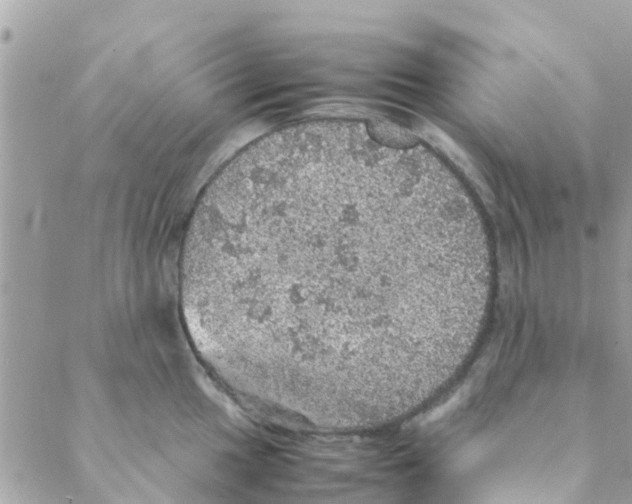 X0000088231049200706121851