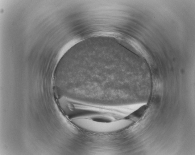 X0000088231050200706121851