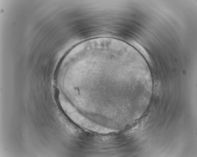 X0000088231051200706121851