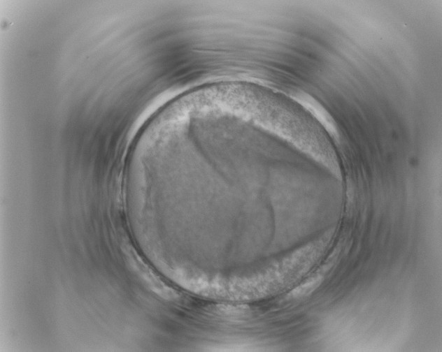 X0000088231052200706121851