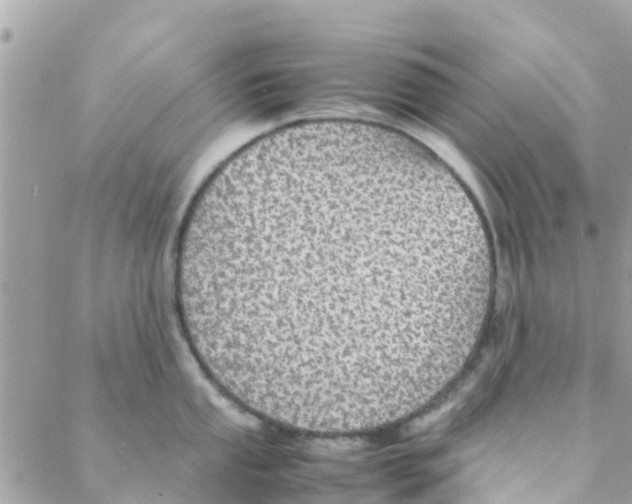 X0000088231053200706121851