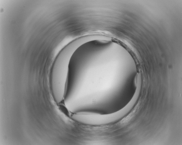 X0000088231054200706121851