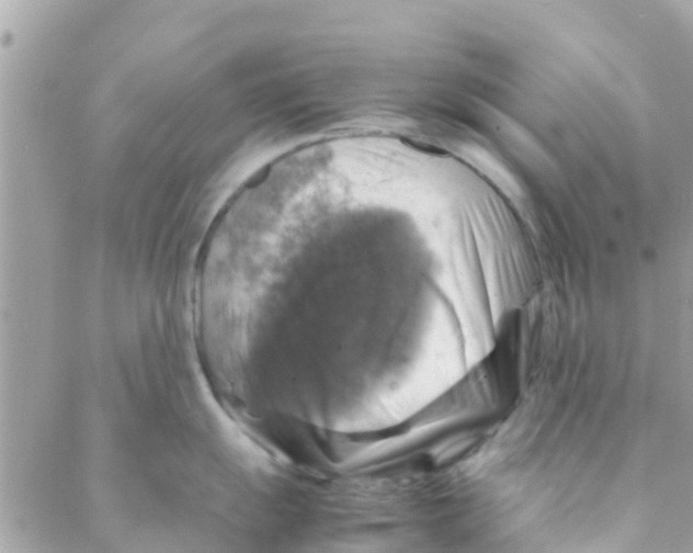 X0000088231055200706121851