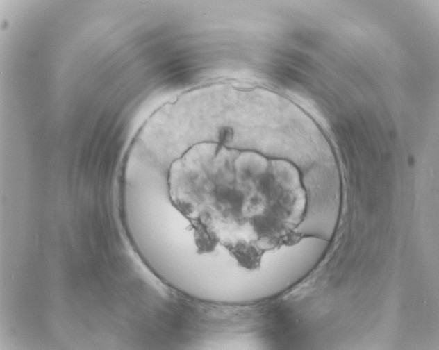 X0000088231056200706121851