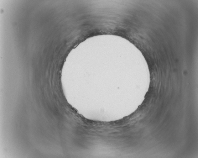 X0000088231057200706121850