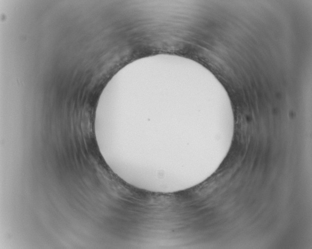 X0000088231058200706121850