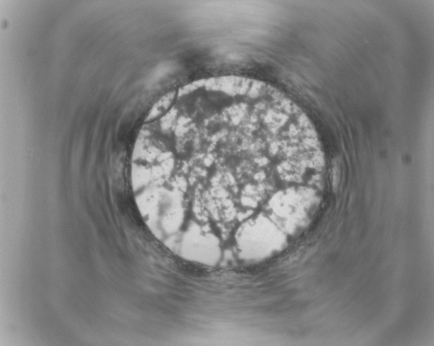 X0000088231059200706121850