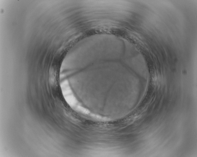 X0000088231060200706121850