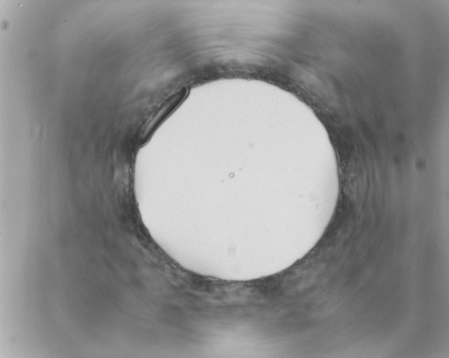 X0000088231061200706121850