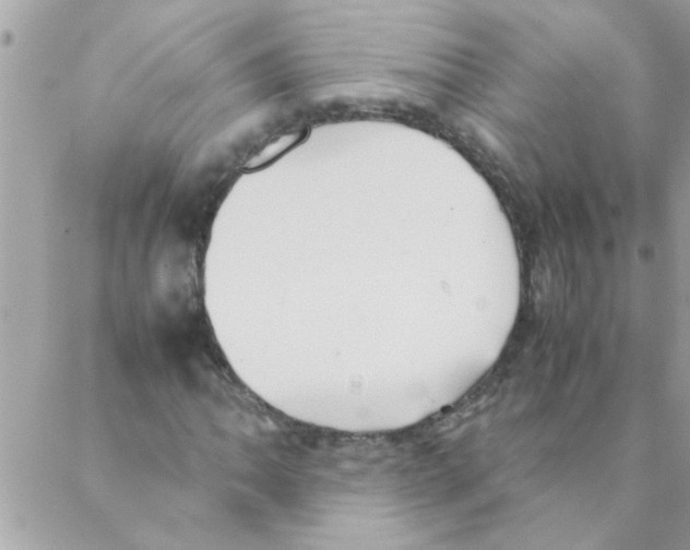 X0000088231062200706121850