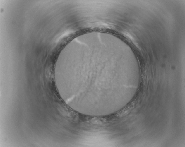 X0000088231063200706121850