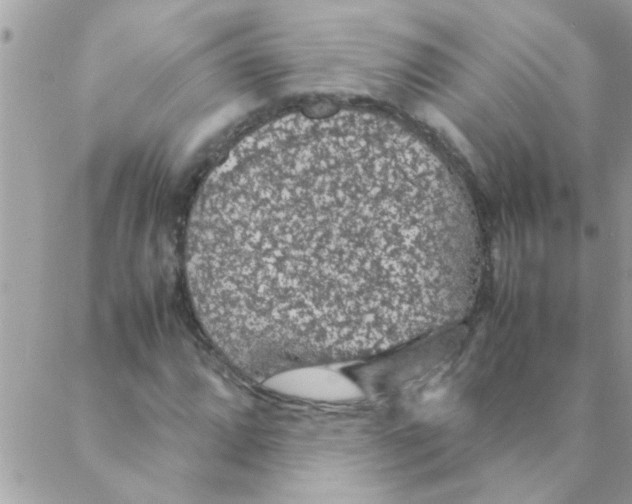 X0000088231064200706121850