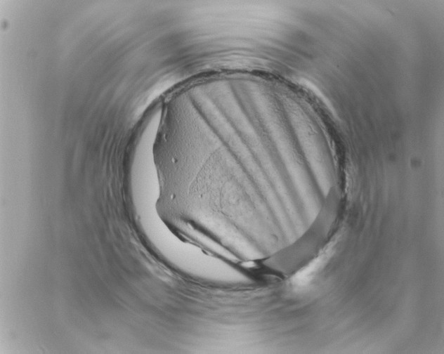 X0000088231065200706121850