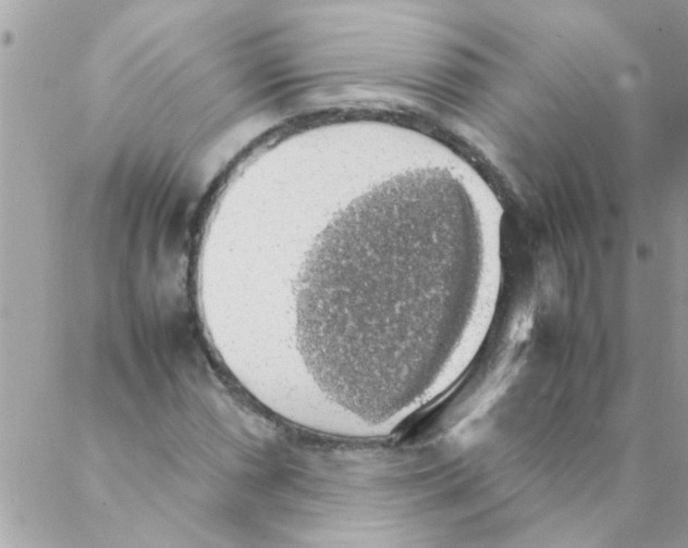 X0000088231066200706121850