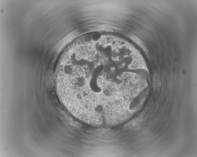 X0000088231067200706121850