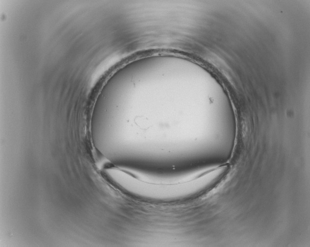 X0000088231069200706121850