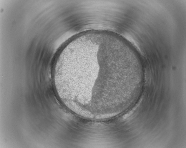 X0000088231070200706121850