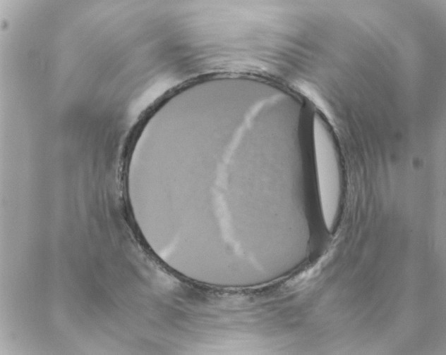 X0000088231071200706121850