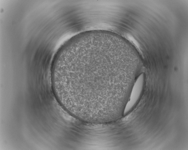 X0000088231072200706121850