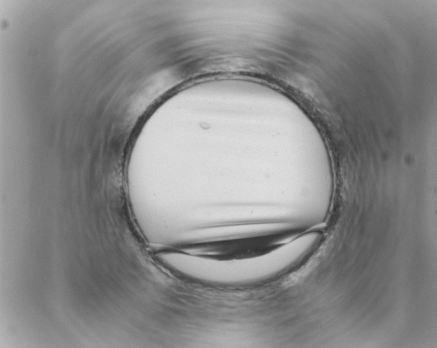 X0000088231073200706121850