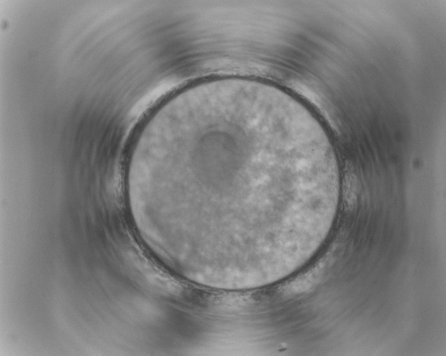 X0000088231074200706121850