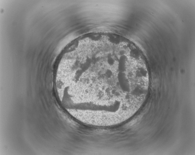 X0000088231075200706121850