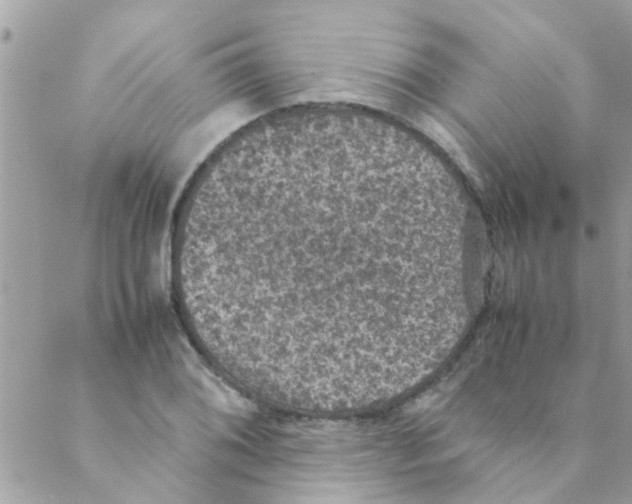 X0000088231076200706121850