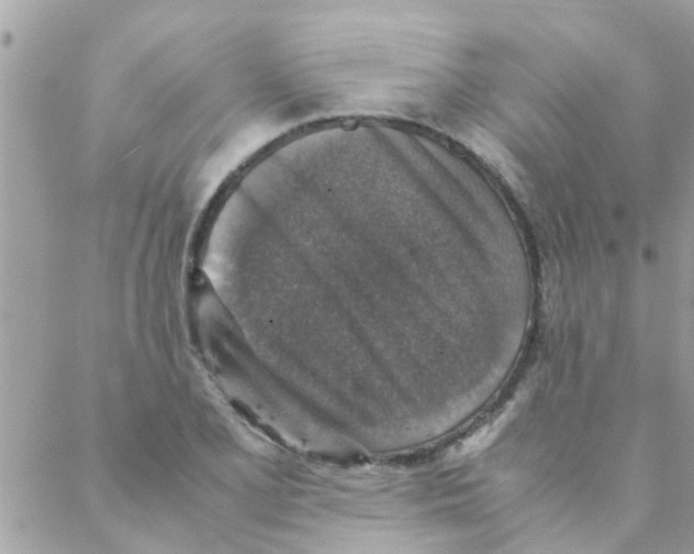 X0000088231077200706121850