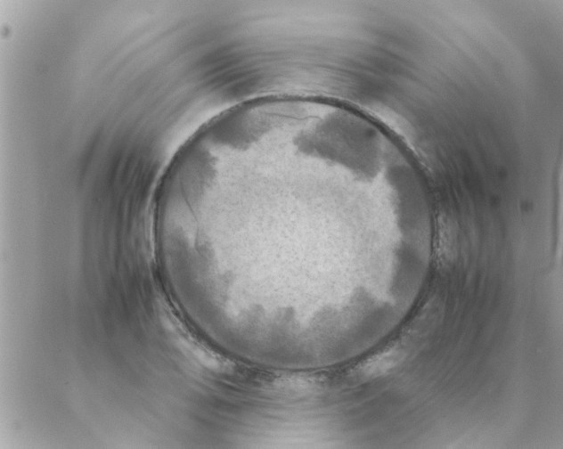 X0000088231078200706121850