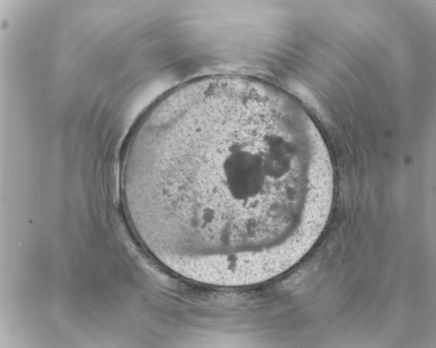 X0000088231079200706121850